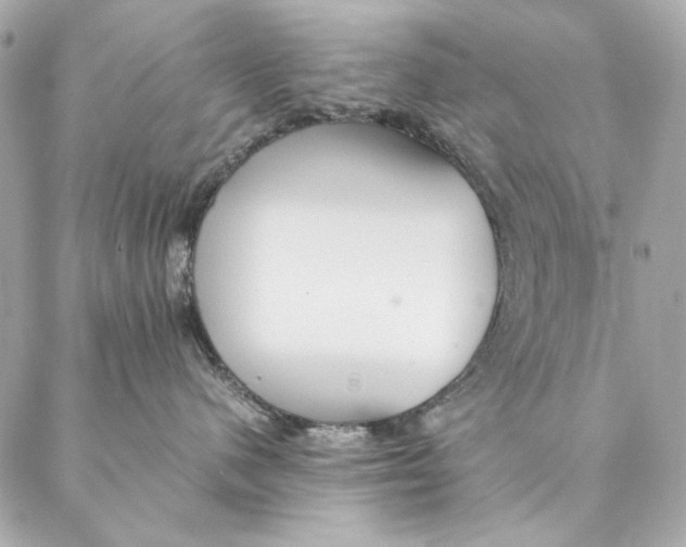 X0000087370480200705111715