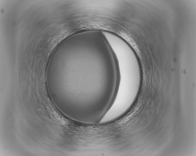 X0000087370481200705111714