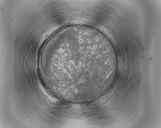 X0000087370486200705111714