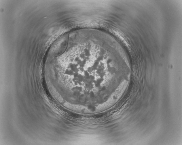 X0000087370487200705111714