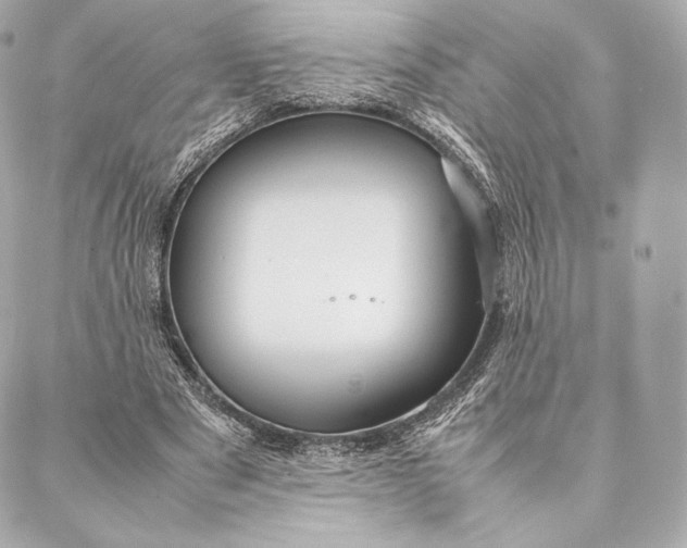 X0000087370489200705111714