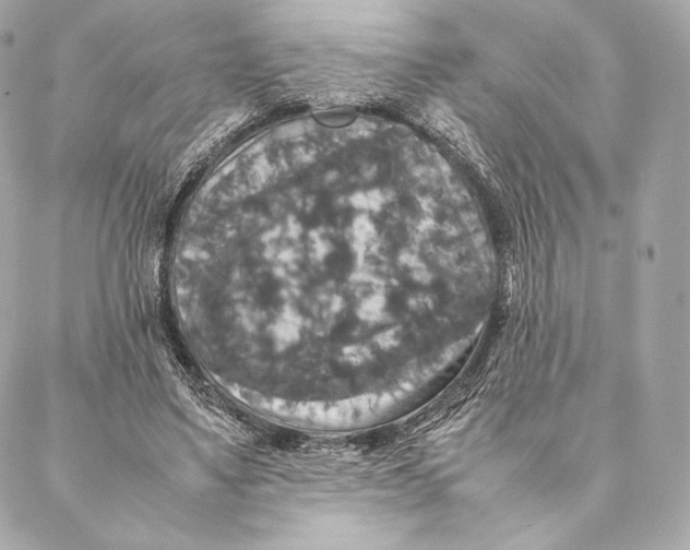 X0000087370491200705111714