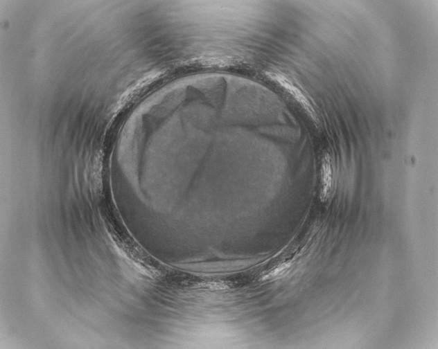 X0000087370492200705111714