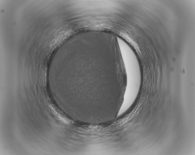 X0000087370493200705111714