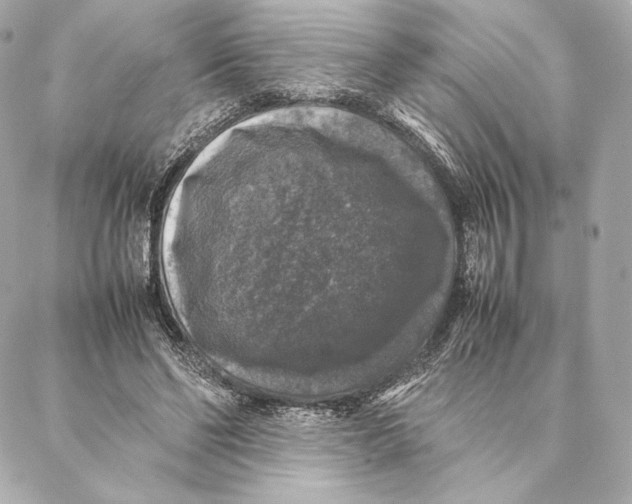 X0000087370494200705111714