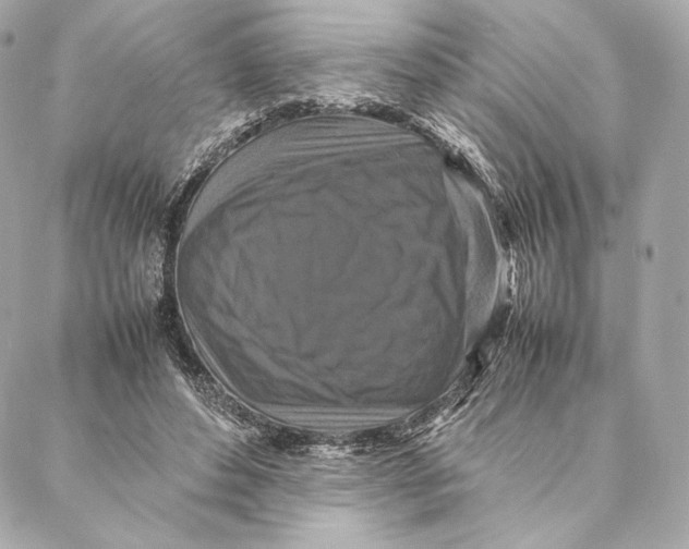 X0000087370496200705111714