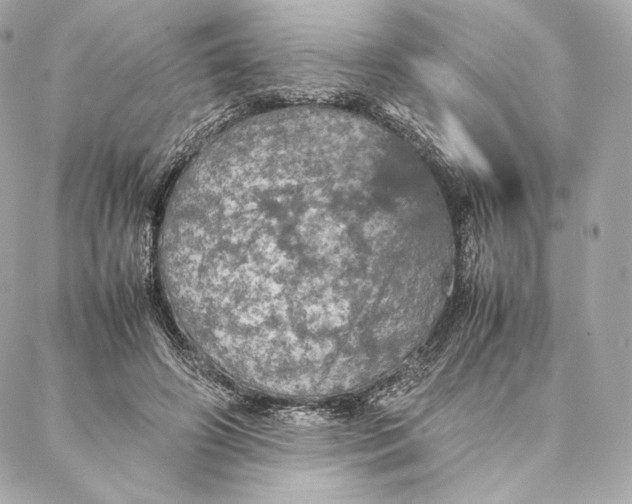 X0000087370498200705111714