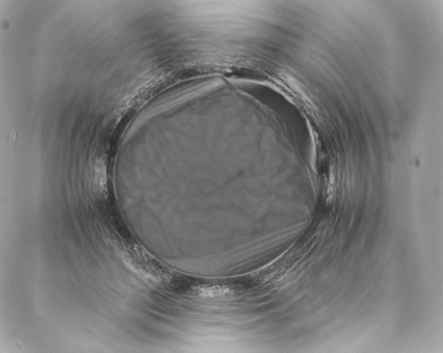 X0000087370500200705111714