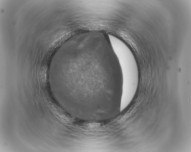 X0000087370501200705111714