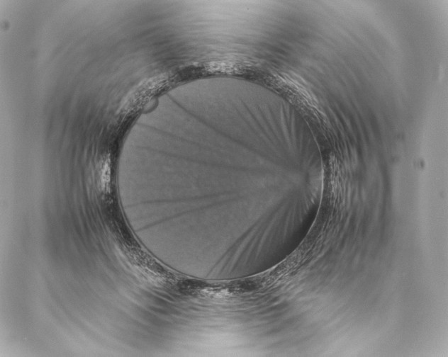 X0000087370502200705111714