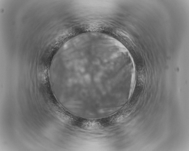 X0000087370503200705111714