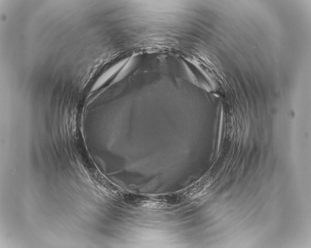 X0000087370504200705111714