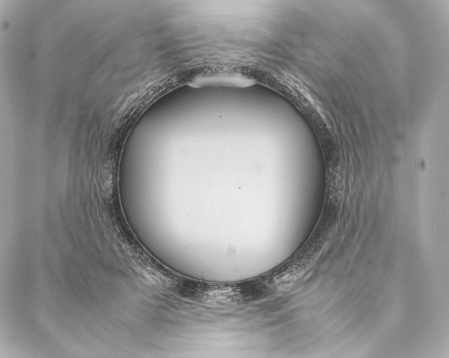 X0000087370505200705111714