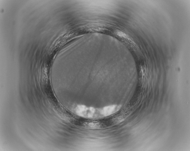 X0000087370506200705111714