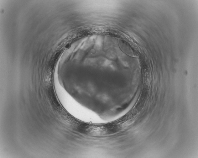 X0000087370507200705111714