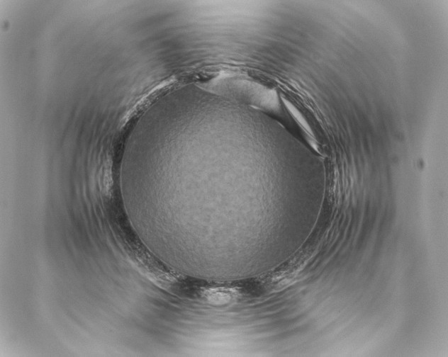 X0000087370508200705111714