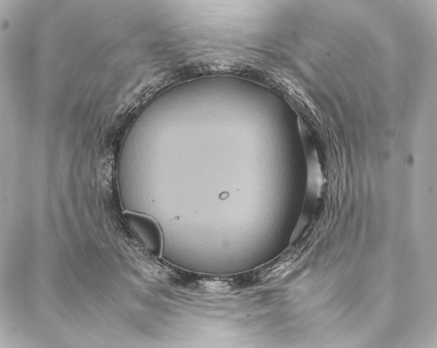 X0000087370509200705111714