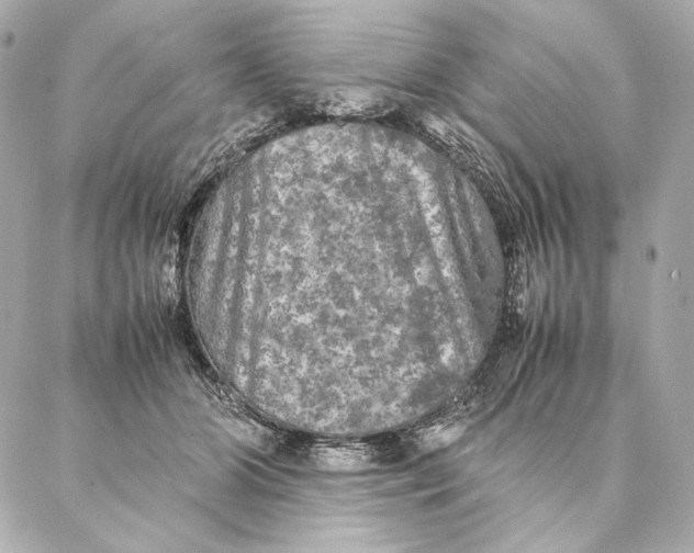 X0000087370510200705111714