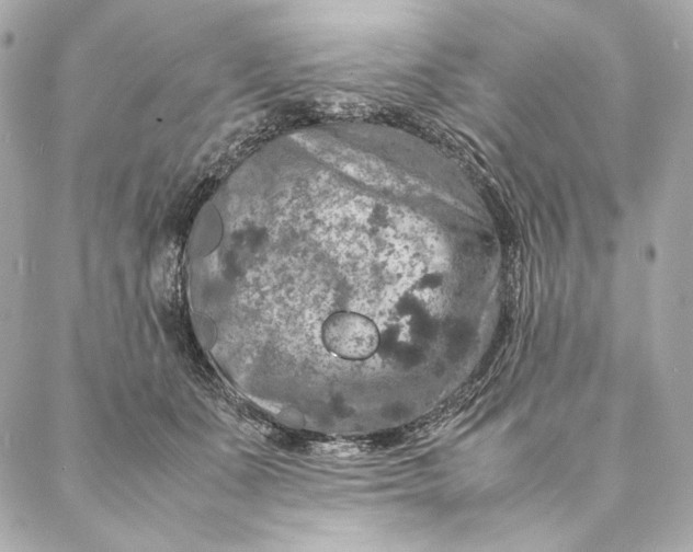 X0000087370511200705111714