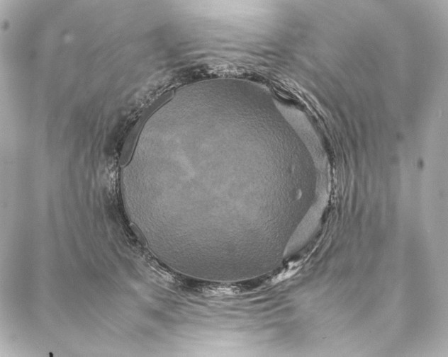 X0000087370513200705111713