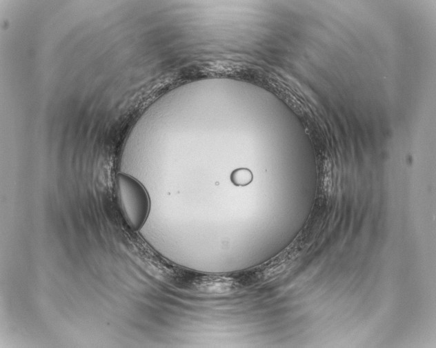 X0000087370514200705111713