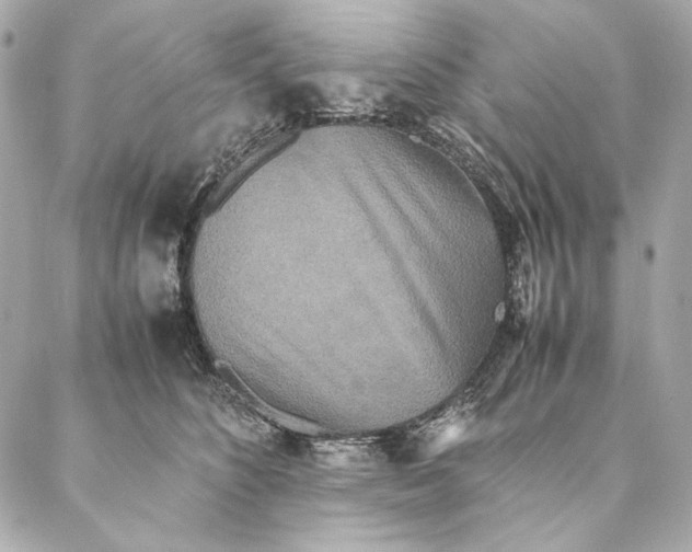 X0000087370516200705111713