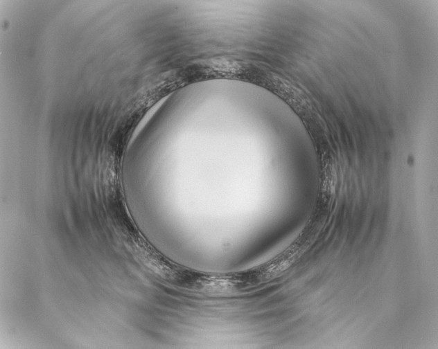 X0000087370518200705111713