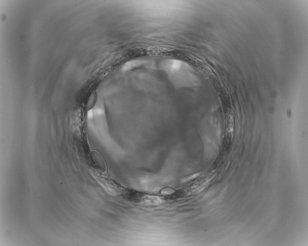 X0000087370519200705111713