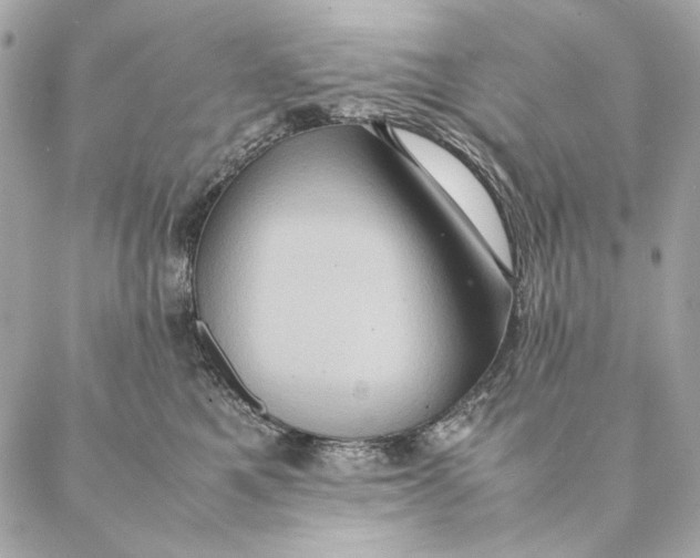 X0000087370521200705111713