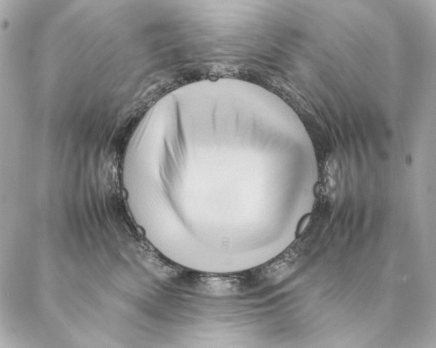 X0000087370522200705111713