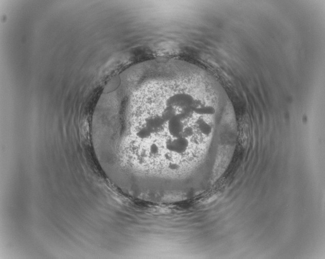 X0000087370523200705111713