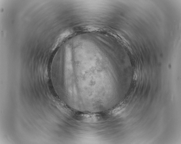 X0000087370524200705111713