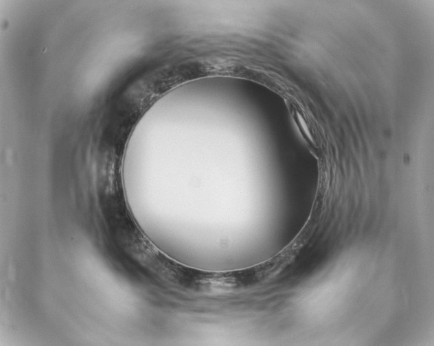 X0000087370525200705111713