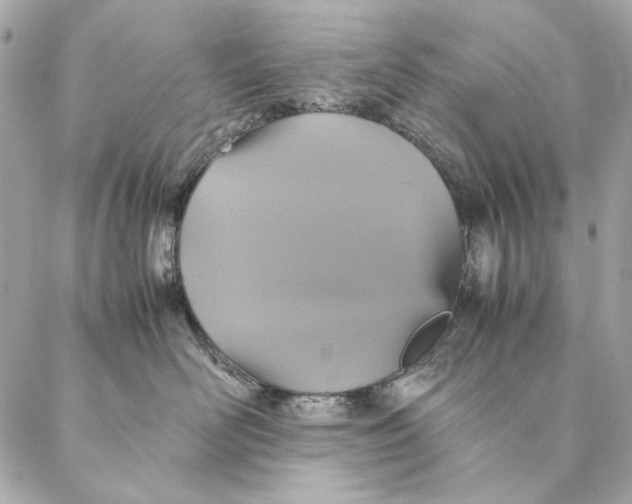 X0000087370526200705111713