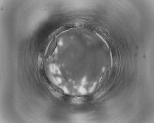 X0000087370527200705111713