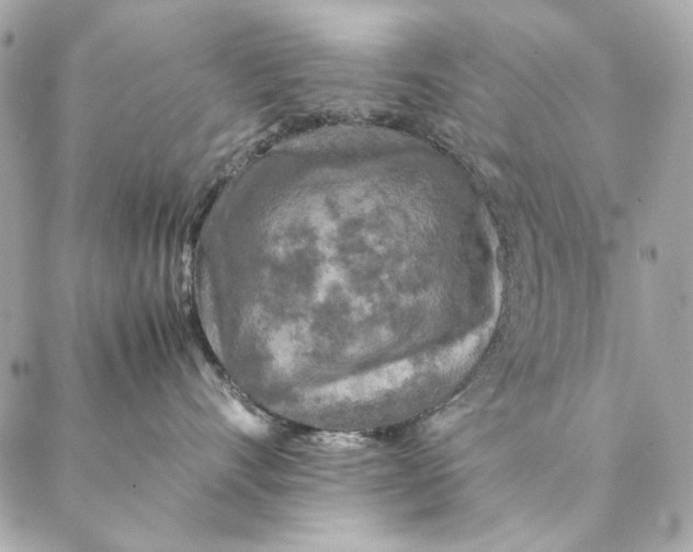 X0000087370528200705111713