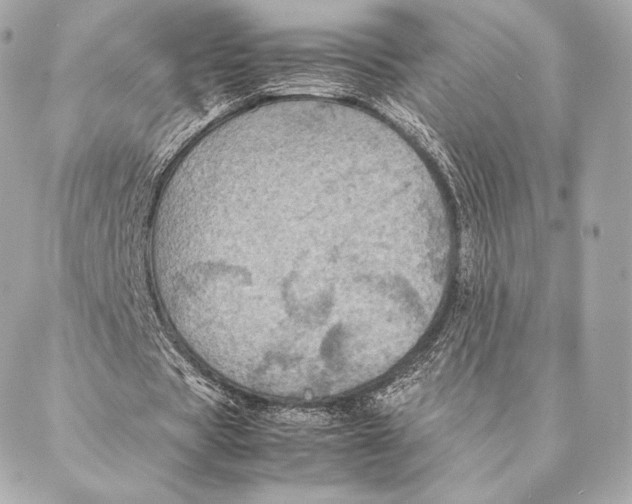 X0000087370529200705111712