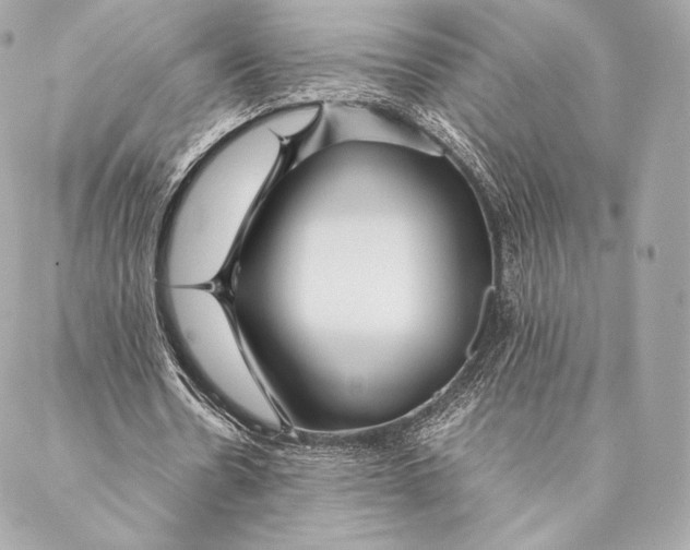 X0000087370530200705111712