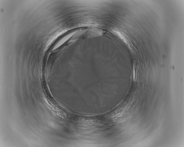 X0000087370531200705111712