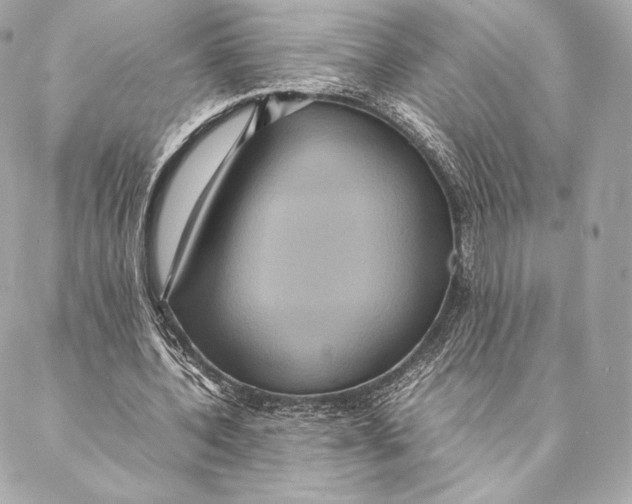 X0000087370532200705111713