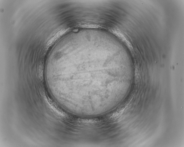 X0000087370533200705111713