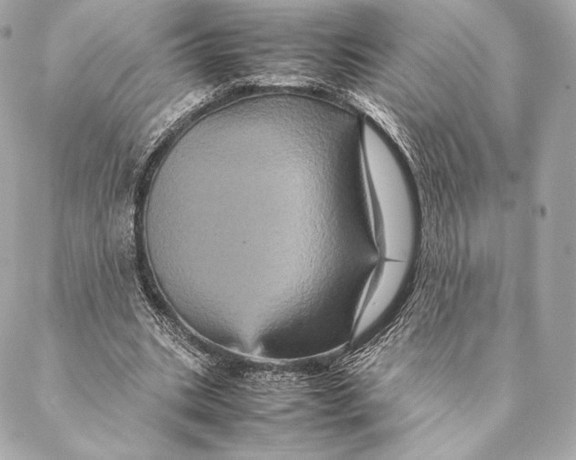 X0000087370535200705111713