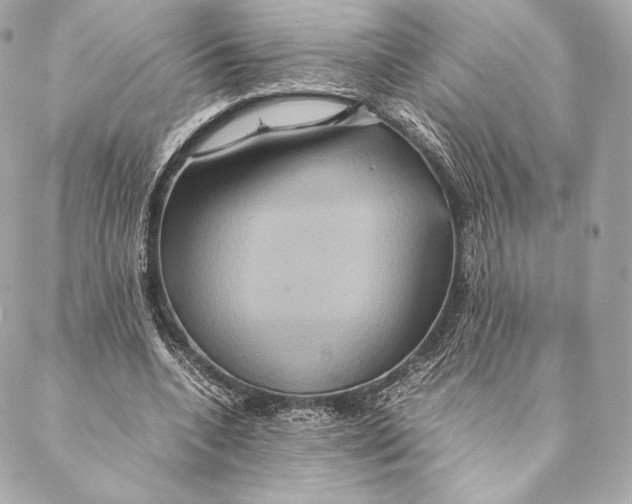 X0000087370536200705111713