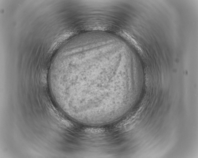 X0000087370537200705111713