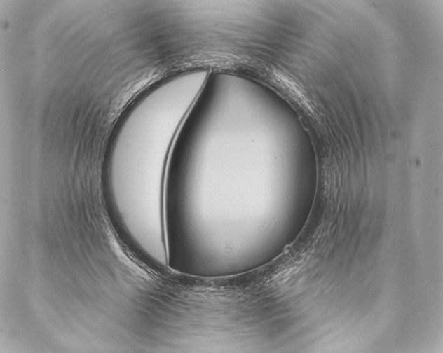 X0000087370538200705111713