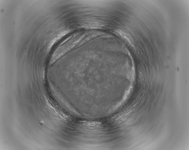 X0000087370539200705111713