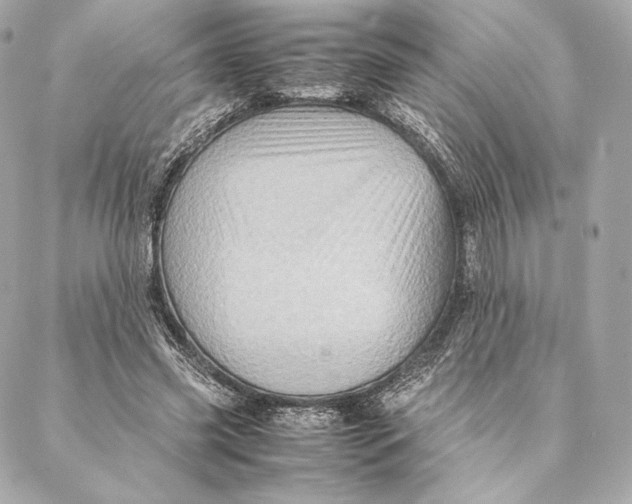 X0000087370541200705111713