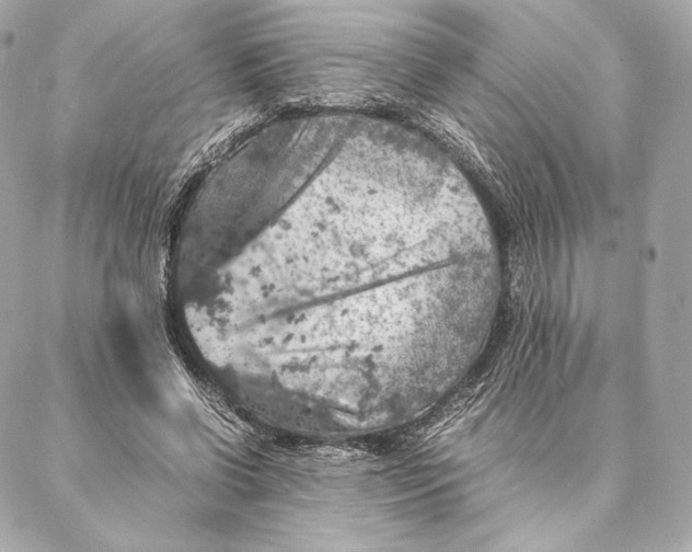 X0000087370542200705111713