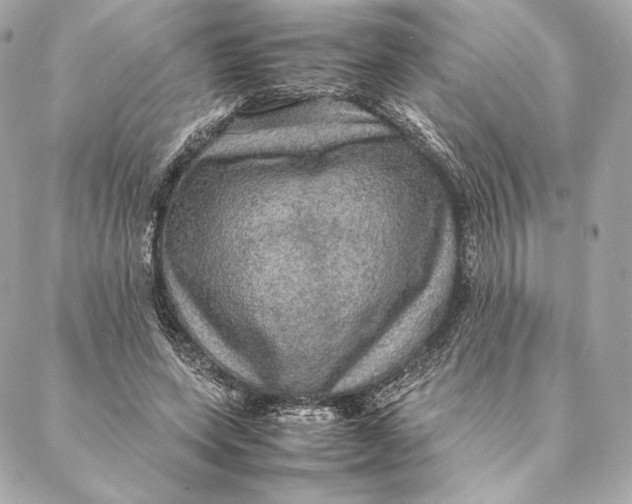 X0000087370543200705111713