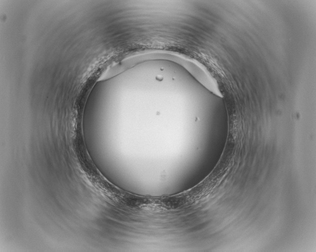 X0000087370544200705111713